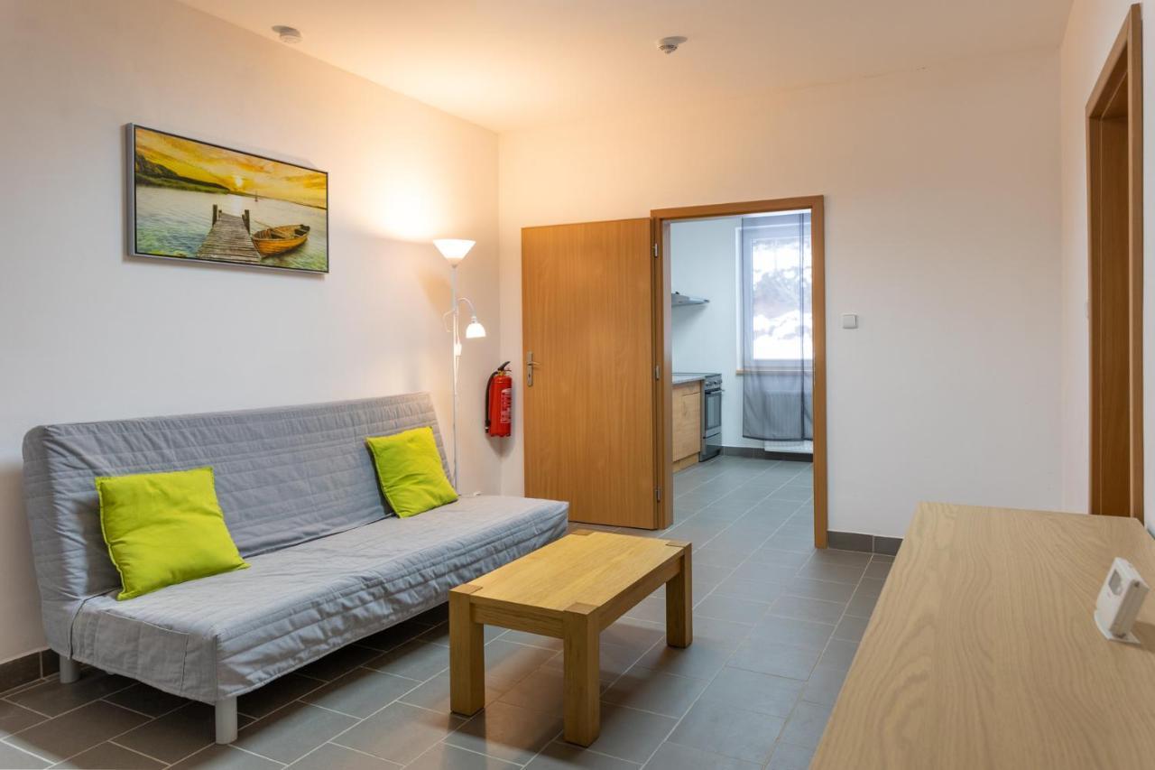 Apartmany Ski Kraslice - Nove Otevreno Zewnętrze zdjęcie