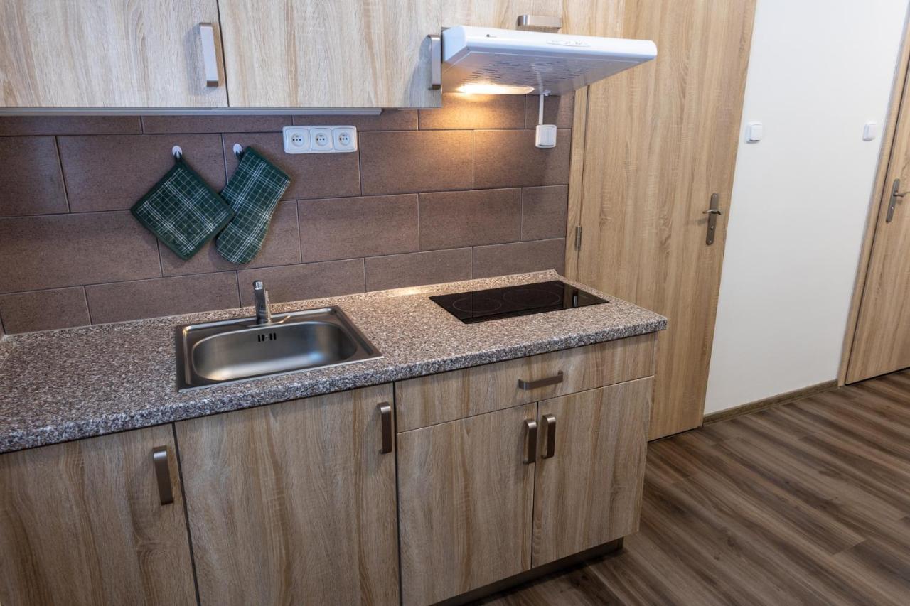 Apartmany Ski Kraslice - Nove Otevreno Zewnętrze zdjęcie