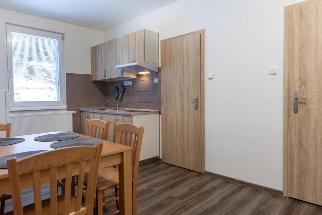 Apartmany Ski Kraslice - Nove Otevreno Zewnętrze zdjęcie